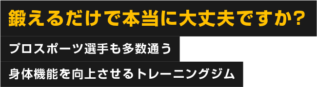 鍛えるだけで本当に大丈夫ですか?プロスポーツ選手も多数通う身体機能を向上させるトーレニングジム