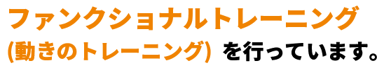 ファンクショナルトレーニング(動きのトレーニング)を行っています。