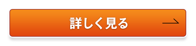 詳しく見る