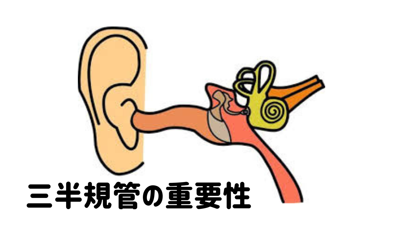 三半規管 鍛え 方